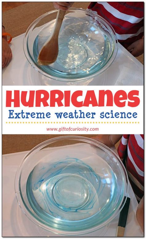 Make a hurricane in your kitchen! What a fun way extreme weather science activity. I'm going to do this with my kids. || Gift of Curiosity Clouds Craft, Weather Science Activities, Weather Unit Study, Weather Experiments, Weather For Kids, Weather Activities For Kids, Teaching Weather, Weather Lessons, Steam Kids