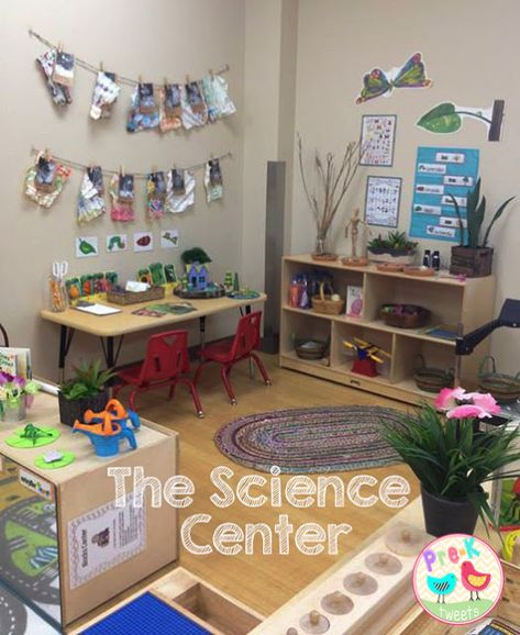 Pre-K Tweets: Learning Centers Blog Hop Series: Science Center Science Area Preschool, Science Learning Centers, Science Center Preschool, Preschool Set Up, Writing Alphabet, Pre-k Science, Science Area, Kindergarten Classroom Decor, Preschool Science Activities