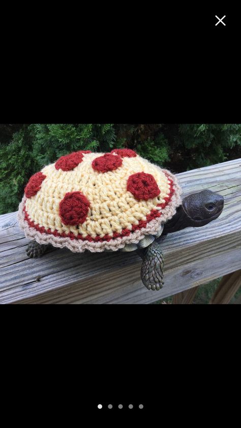 Crochet Turtle Sweater, Tortoise Clothes Crochet, Tortoise Costume, Tortoise Clothes, Cute Animal Pfp, Turtle Pizza, Turtle Clothes, Pet Tortoise, Funny Animal Pics