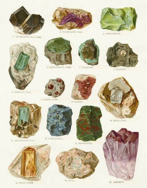 Mineral Chart, Minerals Art, Desert Southwest, Geology Rocks, Crystal Aesthetic, Deco Retro, Vintage Poster Art, Minerals And Gemstones, Art Collage Wall