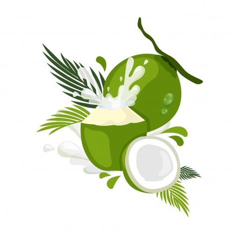 Coconut illustration | Premium Vector #Freepik #vector #food #leaf #cartoon #fruit Coconut Illustration Design, Coconut Cartoon, Coconut Illustration, Coconut Tree Drawing, Cartoon Palm Tree, Leaf Cartoon, Coconut Water Drinks, Coconut Vector, Buko Pandan