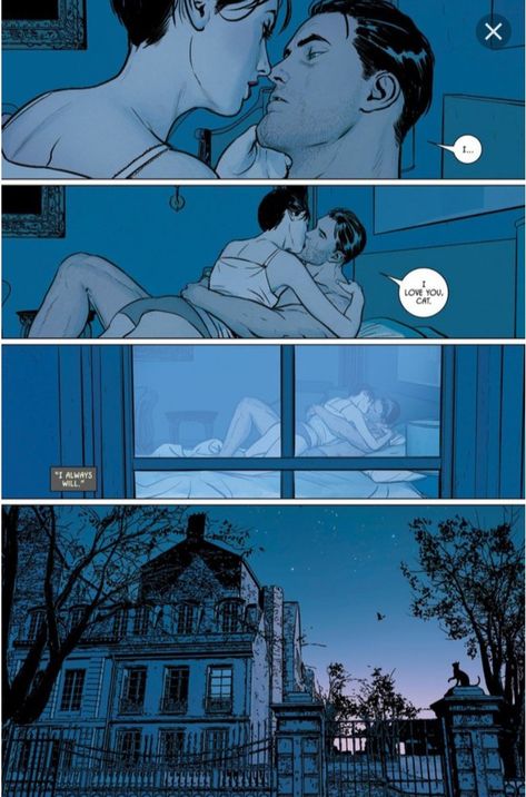 Selina X Bruce, Bruce Selina, The Bat And The Cat, Bat And The Cat, Cat Batman, Mikel Janin, Tom King, Bruce And Selina, Wayne Manor