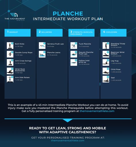 Planche workout for all levels - The Movement Athlete Planche Workout, Intermediate Workout Plan, Calisthenics Skills, Intermediate Workout, Beginner Workout Plan, Advanced Workout, Workout Plan For Beginners, Strong Muscles, Personal Fitness