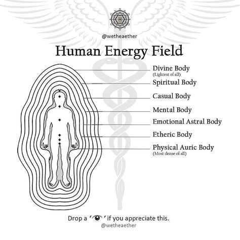 We the æther 道♡ॐ𓂀✝️☯️☸️☪️ on Instagram: “An aura or human energy field is, according to New Age beliefs, a colored emanation said to enclose a human body or any animal or object.…” Human Energy Field, Human Energy, Energy Psychology, Law Of Attraction Meditation, Aura Reading, Etheric Body, Manifest Love, Money Success, Energy Healing Reiki