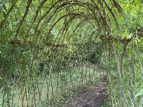 Mary Reynolds - Reformed Landscape Designer | The Gardening Awakening: Designs to Nurture Our Land and Ourselves Mary Reynolds Garden Design, Habitat Garden, Wildlife Rehabilitation, Chelsea Flower, Chelsea Flower Show, Instagram Live, Flower Show, Permaculture, Inspirational People