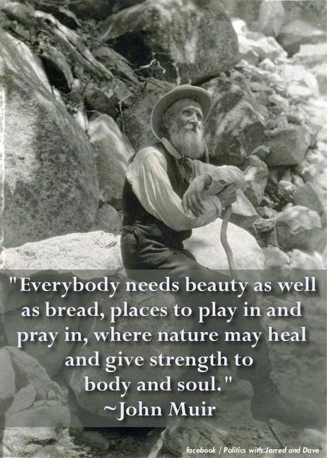 John Muir. We were meant to be creative, to enjoy life...as well as to work hard and give our best. John Muir Quotes Nature, John Muir Quotes, John Muir Trail, Hiking Quotes, Sleeping Under The Stars, Outdoor Quotes, John Muir, Nature Quotes, Be Creative