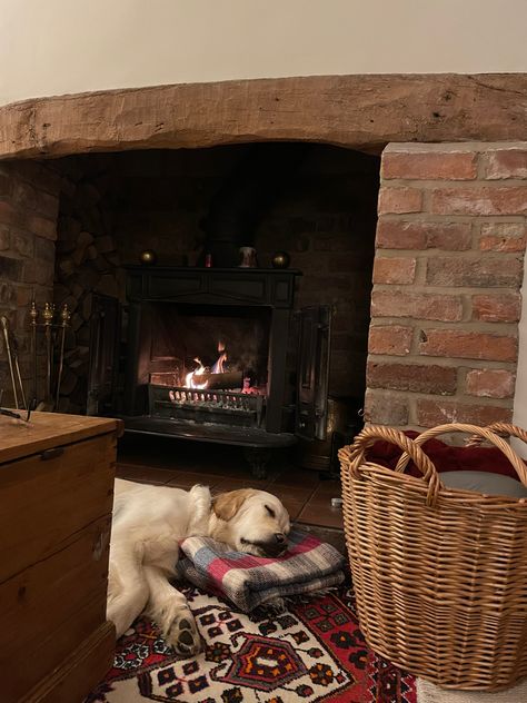 Dog By Fireplace, Golden Retriever Home Decor, Gold Retriever, Christmas Golden Retriever, Cornish Pixie, Countryside Life, Old House Interior, Mill House, Old Fireplace