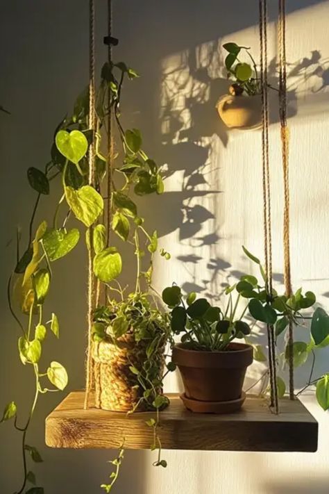 Transform your living space with this DIY hanging plant shelf project! Perfect for adding a touch of greenery and style, this tutorial walks you through step-by-step instructions to create a beautiful shelf that can hold multiple plants. Not only is this an aesthetically pleasing addition to any room, but it also maximizes your space efficiently. Whether you have a small apartment or a large home, this hanging shelf idea will breathe fresh air into your interior design. Get ready to showcase your favorite plants with this simple yet fun DIY project. Hanging Shelf Plants Indoor, Diy Hanging Plant Shelves, Hanging Plant Shelf Diy, Diy Plant Shelf Indoor, Diy Hanging Plant Shelf, Hanging Plant Shelf, Hanging Ferns, Hanging Plants Diy, Plant Shelf