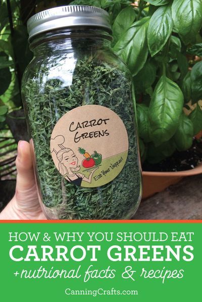 Uses For Carrot Greens, Using Carrot Tops, What Can You Use Carrot Tops For, Carrot Top Pesto Recipe, How To Use Carrot Tops, What To Do With Carrot Tops, Carrot Leaves Recipes, Carrot Greens Recipe, Carrot Greens What To Do With