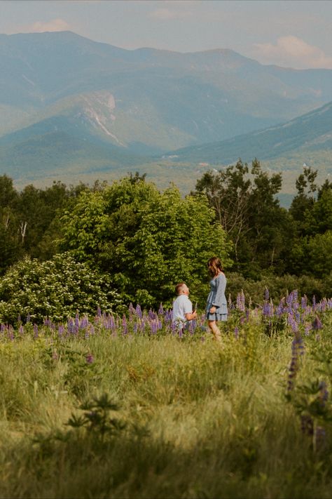 boyfriend proposing to girlfriend in Sugar Hill New Hampshire among the lupine. Whimsical Proposal, Proposal In Flower Field, Wedding Proposals Mountains, Proposal On Mountain, Flower Field Proposal Ideas, Lavender Field Proposal, Hiking Proposal Ideas, Private Engagement, Proposal In Mountains