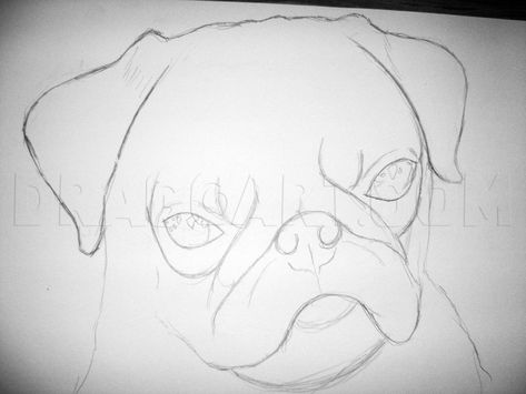 Pug Drawing Easy Step By Step, Pug Template, Pugs Drawing, Dog Face Drawing, Realistic Eye Drawing, Realistic Pencil Drawings, Animal Drawings Sketches, Pug Art, A Pug