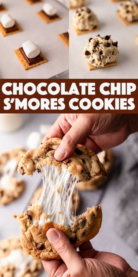 Chips A Hoy Cookies Dessert Recipes, Chocolate Chip Cookie S’mores Recipe, Party Snacks Dessert, Deserts To Bring To A Potluck, Chocolate Chip Cookies Smores, Desert Snack Ideas, S’mores Chocolate Chip Cookies Easy, Chocolate Chip Smores Bars, S’mores Chocolate Cookie