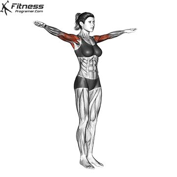 Fitness Anatomy, Exercise Drawing, Workout Charts, Superman Workout, Workouts For Home, Workouts Without Equipment, Rotator Cuff Exercises, Best Shoulder Workout, Free Workout Plans