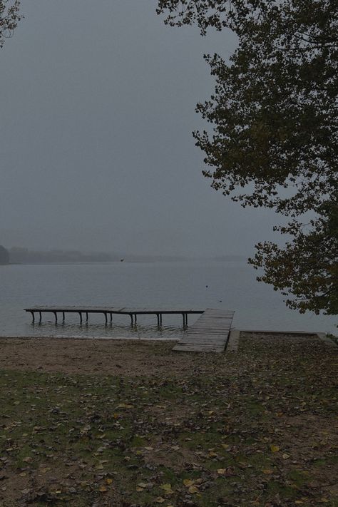 Rainy British Aesthetic, Autumn Fog Aesthetic, Foggy Lake Aesthetic, Rainy Town Aesthetic, Foggy Aesthetic Wallpaper, Tree Aesthetic Wallpaper, Foggy Rain, Foggy Lake, Rainy Lake