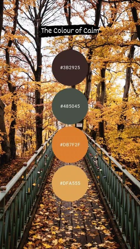 The Colour of Calm - Free Colour Palettes (@the_colour_of_calm) • Instagram photos and videos Fall Yarn Color Palette, Boho Fall Color Palette, November Color Palette, Purple And Orange Color Palette, Color Palette Autumn, Color Palette Purple, Autumn Colour Palette, Orange Palette, Orange Color Schemes