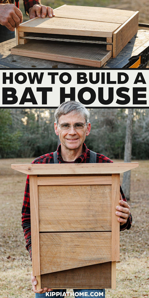 man holding a bat house Bat Box Diy, Bat Houses Diy How To Build Easy, Bat Boxes Diy How To Build Easy, How To Make A Bat House, Bat Boxes Diy How To Build, Bat Houses Diy How To Build, Bat Box Plans, Bat House Diy, How To Attract Bats