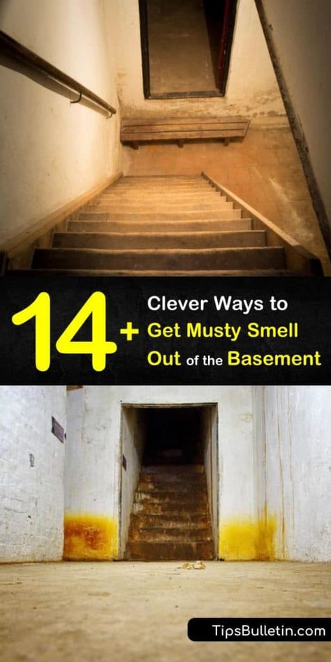 Musty Smell In House, Basement Odor, Mold In Basement, Mold Smell, Old Basement, Dream Basement, Flooded Basement, Cleaning Painted Walls, Basement Makeover