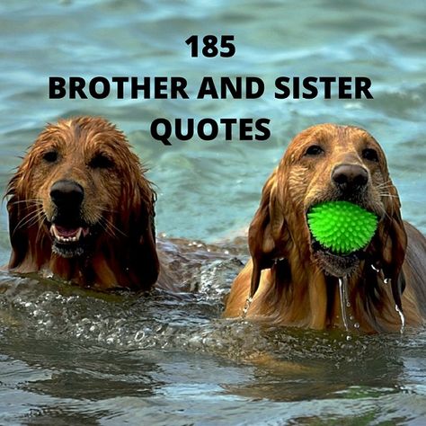 Cute Brother And Sister Quotes: 180 Sibling Quotes With Images Brother Sister Quotes Funny Humor, Brother Sister Quotes Funny Cute, Siblings Quotes, Brother Sister Quotes Funny, Sister Jokes, Brother N Sister Quotes, Brother Sister Love Quotes, Brother Humor, Lee Brice