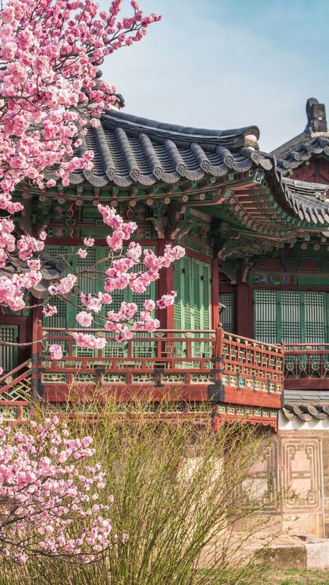 Explore South Korea's highlights in 11 days, starting in bustling Seoul to the vibrant port city of Busan before unwinding in Jeju Island. Jeju City, Jeju Island South Korea, Dramatic Landscape, Busan Korea, Vacation Wishes, Korea Wallpaper, Busan South Korea, Gyeongju, Royal Palaces