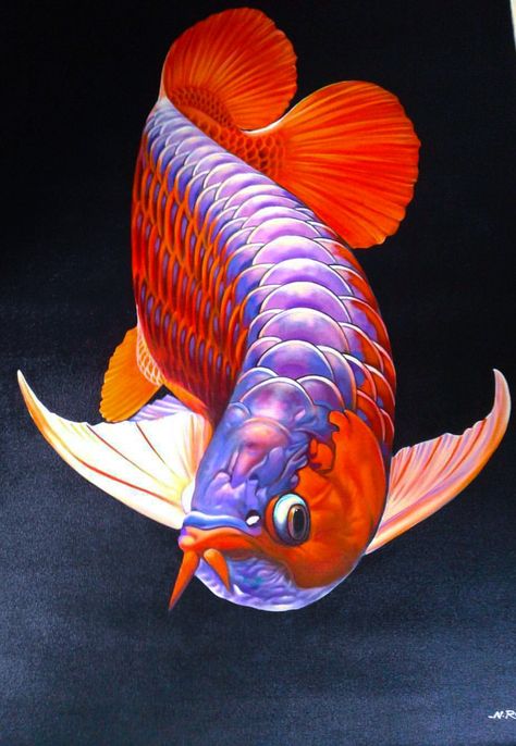 Arowana Fish Wallpaper, Arwana Fish, Arowana Fish, Fish Dragon, Fish Sketch, Ikan Air Tawar, Sea Creatures Art, Dragon Fish, Seahorse Art