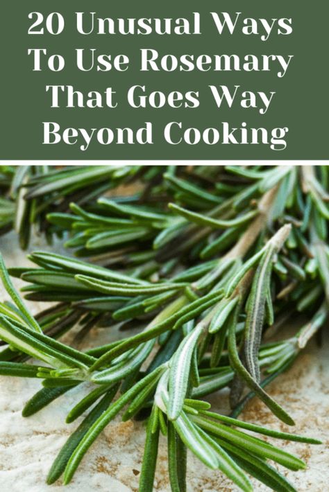 Rosemary Recipes, Medicinal Herbs Garden, Rosemary Plant, Herb Recipes, Herbs For Health, Garden Recipes, Healing Herbs, Growing Herbs, Medicinal Herbs