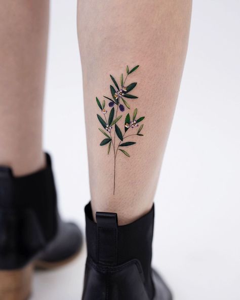 Olive Leaf Tattoo, Tattoo Leaf, Olive Tree Tattoos, Olive Tattoo, Olive Branch Tattoo, Crane Tattoo, Leaf Tattoo, Tattoo Watercolor, Branch Tattoo