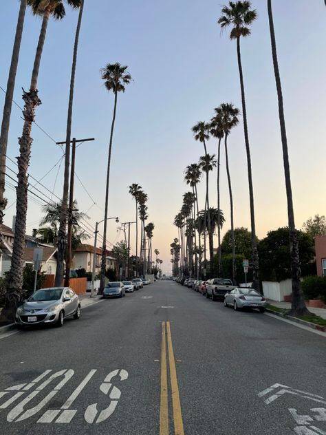 california. palm trees. california street. santa monica. california beach. sunset. california sunset. los angeles. California Street Aesthetic, Streets Of Los Angeles, Los Angeles Neighborhood Aesthetic, Sunset Los Angeles, Compton California, Sunset Boulevard Los Angeles, Los Angeles Beach Sunset, Sunset California, 90s Hiphop