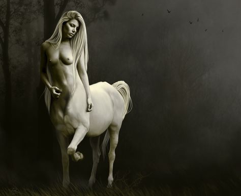 Centaur | Centaur" Female Centaur, Philippine Mythology, Wildest Fantasy, Water Pictures, Alien Concept Art, Legendary Creature, Mythological Creatures, Woodland Creatures, Fantasy World