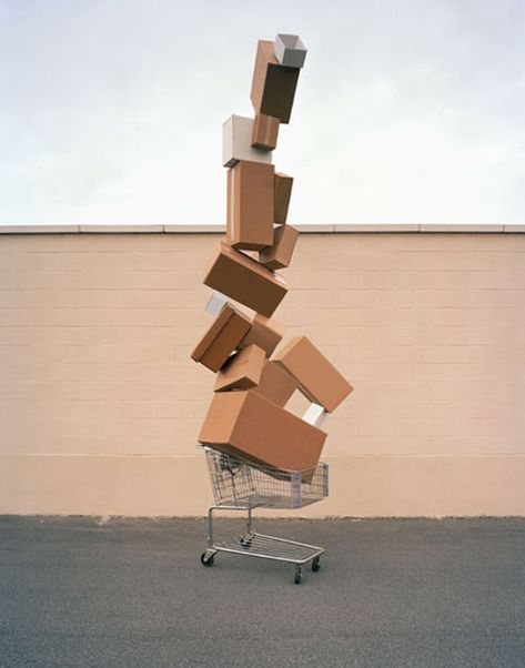 artist photographer david welch Consumer Culture, Sculpture Installation, Land Art, Public Art, Art Plastique, Installation Art, Fine Art Photography, Shopping Cart, Art Direction