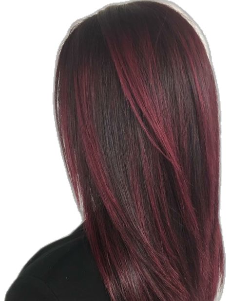 Brown And Dyed Hair, Wine Hair, Red Hair Inspo, Dark Red Hair, Coloured Hair, Burgundy Hair, Dark Brown Hair, Dream Hair, Hair Colour