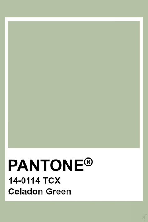 Pantone Celadon Green Reseda Green, Pantone Tcx, Pantone Green, Pantone Swatches, Pantone Palette, Pantone Colour Palettes, Pantone Colors, Celadon Green, Color Inspo