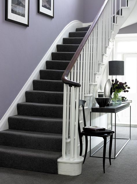 Purple walls, white trim, dark brown/black furniture and charcoal carpet...inspired elegance Best Colour For Hall, Dark Grey Carpet, Carpet Diy, Grey Hallway, Gray Stairs, Black Stairs, Hallway Colours, Dark Carpet, Stair Case