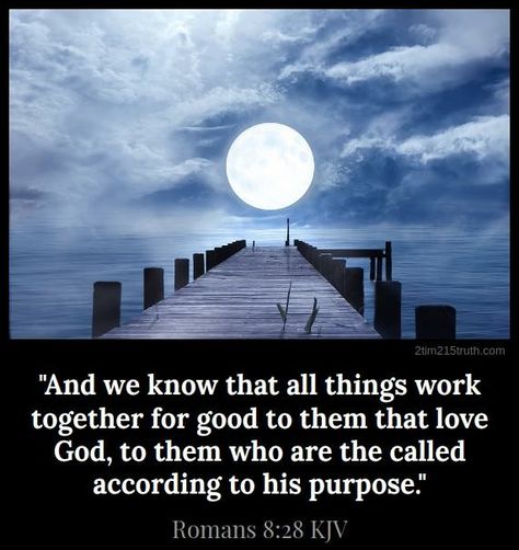 Romans 8:28 (KJV) Romans 8 28 Kjv, Life Verses, Bible Verse Pictures, Comforting Bible Verses, All Things Work Together, Christian Verses, Christian Pins, Powerful Bible Verses, Speak Life