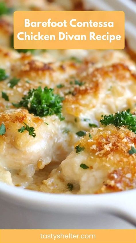 Barefoot Contessa Chicken Divan Recipe – Tasty Shelter Chicken Divan Recipes, Chicken Divan Recipe Easy, Chicken Divan Casserole, Chicken Divan Recipe, Chicken Delight, Barefoot Contessa Recipes, Chicken Divan, Comfort Casseroles, Casserole Easy