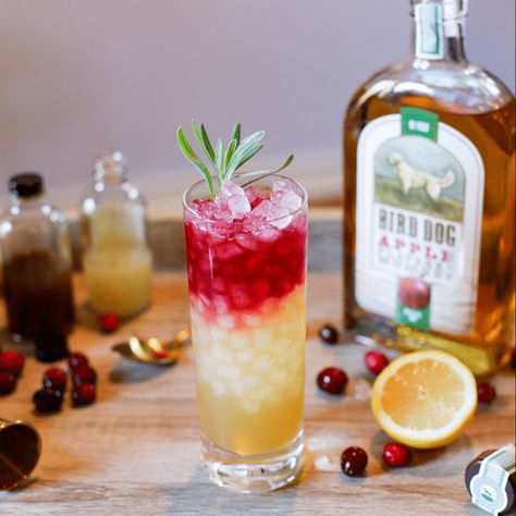 Ready to add some flavor into your life? Give Bird Dog Apple Whiskey a try! Try this cocktail recipe: 2 oz Bird Dog Apple Whiskey .75 oz Lemon Juice .5 oz Ginger Honey Syrup .5 oz Cranberry Juice Shake together Bird Dog Apple Whiskey, lemon juice, and syrup with ice, then add ice into a fresh glass and strain. Top with cranberry juice and garnish with tarragon or another savory herb. Browse our mixology recipes and find a bottle near you via the link in our bio. Apple Whiskey Cocktail, Cocktail Bird, Bird Dog Whiskey, Whiskey Cocktail Recipes, Mixology Recipes, Apple Whiskey, Honey Whiskey, Cocktail Recipes Whiskey, Whiskey Recipes