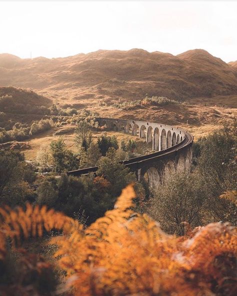 Strong Photo, Hufflepuff Aesthetic, Autumn Rain, Hogwarts Aesthetic, Autumn Magic, Autumn Nature, Harry Potter Aesthetic, Fall Travel, Autumn Vibes