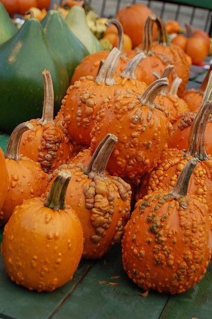 Bumpy Pumpkins Bumpy Pumpkins, Paper Spiderwebs, Bumpy Pumpkin, Pumpkin Show, Pumpkins And Gourds, Halloween Craft, Harvest Time, Pumpkin Seasoning, Halloween Food For Party