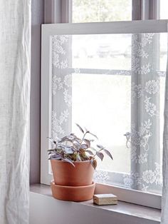 Privacy Screen Window Ideas, Alternative To Net Curtains, Cane Window Screen, Window Privacy Ideas Diy, Diy Window Covering Ideas, Alternative Apartment, Diy Lace Privacy Window, Bedroom Window Coverings, Lace Window Screen