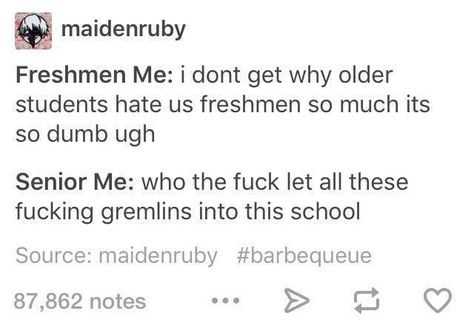 Freshmen Vs Seniors, School Memes, Funny Tumblr Posts, What’s Going On, Text Posts, Tumblr Posts, Tumblr Funny, Funny Posts, Funny Photos