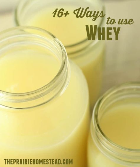 Uses For Whey, Whey Recipes, The Prairie Homestead, Cheese Recipes Homemade, Cheese Making Recipes, Prairie Homestead, Cooking Beets, Goat Milk Recipes, Pudding Chia