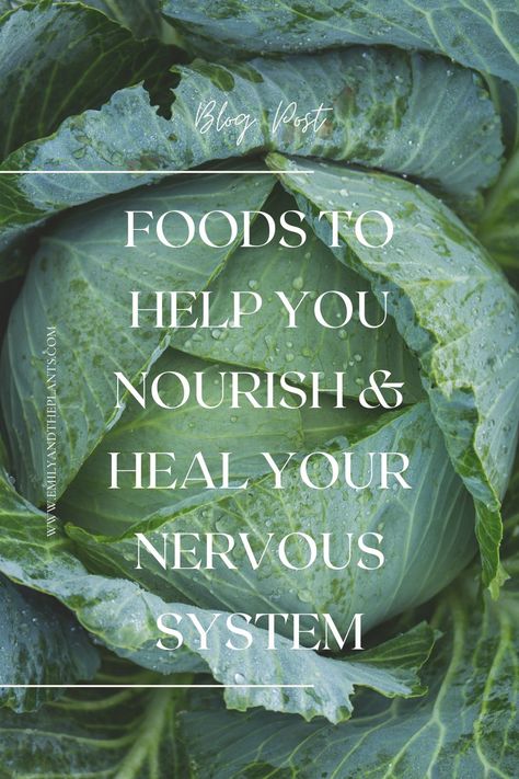 Taking care of your nervous system is a daily task. There are many things you can do that contribute to maintaining overall health and wellbeing, as well as basic steps essential for helping your nervous system to heal & repair. Proper nutrition plays a vital role in supporting a healthy nervous system. Let’s delve into the significance of nutrition in ensuring optimal nerve function and explore different food types that contribute to a healthy nervous system. Food For Nerves, Vitamins For Nervous System, Healing Disregulated Nervous System, Nervous System Diet, Food For Nervous System, Vagus Nerve Diet, Foods For Nervous System, Nervous System Health, Heal The Nervous System