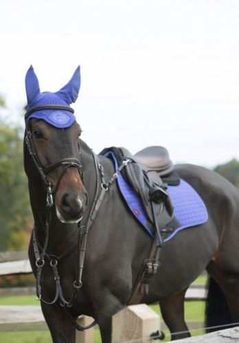 Absolutely gorgeous Blueberry set from the LeMieux range Matching Tack Sets English, Lemieux Matchy Sets, Dark Bay Horse Tack Colors, Lemieux Set, Lemieux Saddle Pads, Lemieux Equestrian, Purple Sets, Equestrian Tack, English Horse Tack