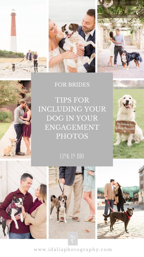 Dog In Engagement Photos, Engagement Dog Photos, Engagement Photos With Pets, Dog Engagement Announcement, Engagement Photos With Dogs Ideas, Engagement Photos Poses With Dog, Engagement Photos Ideas With Dog, Light Green Eyeshadow, Engagement Pictures With Dog