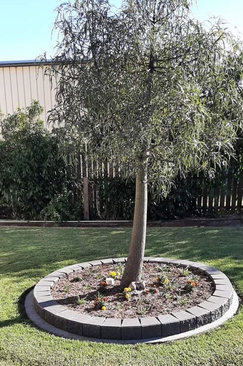 What do #dantrans drivers 🚚 and their wives do on weekends? Landscaping at home of course. 🏡 Dave and Sonja made this tree surrounds with Miniwall #blocks in Charcoal. ⁠ ⁠ Great job Steve and Sonja and thank you for image.👍 Tree Surround Ideas, Tree Surround, Pavers Landscaping, Retaining Wall Blocks, Landscaping Supplies, Building Projects, Great Job, Outdoor Ideas, Retaining Wall