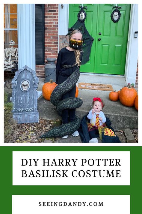 Some Harry Potter Halloween costumes just don't exist. Like the Basilisk from the Wizarding World. But it's easy to make a DIY Harry Potter Basilisk costume! Basilisk Costume, Albus Dumbledore Costume, Basilisk Harry Potter, Fun Halloween Ideas, Ravenclaw Colors, Harry Potter Costumes, Harry Potter Halloween Costumes, Diy Harry Potter, Rubeus Hagrid