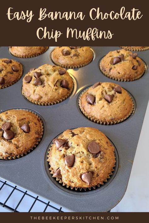 Banana Chocolate Chip Muffins Easy Cake Mixes, Banana Choc Chip Muffins Easy, Small Batch Banana Chocolate Chip Muffins, Banana Chocolate Chip Muffins Easy, Choc Chip Banana Muffins, Banana And Chocolate Chip Muffins, Easy Banana Muffin, Banana Muffin Recipes, Banana Chocolate Chip Mini Muffins