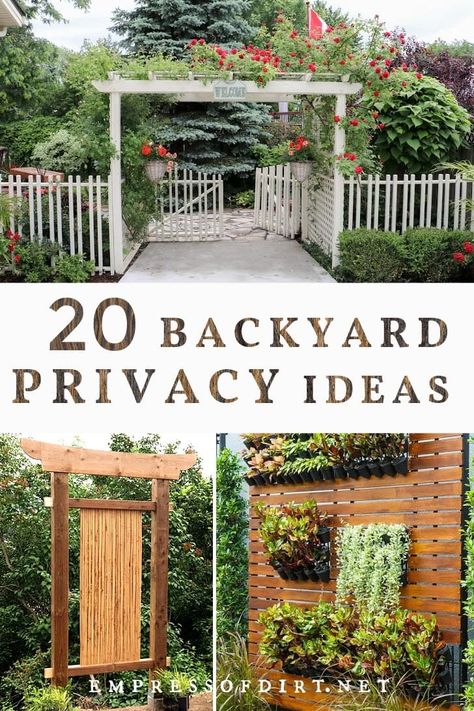 20 Ideas for Better Backyard Privacy | Empress of Dirt Backyard Privacy Ideas, Living Fences, Privacy Landscaping Backyard, Privacy Ideas, Patio Privacy, Privacy Landscaping, Living Fence, Garden Privacy, Backyard Privacy