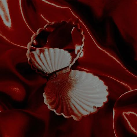 Red Mermaid Aesthetic, Pearl Aesthetic, Cherry Pearl, Dragons Crown, Medieval Books, Siren Mermaid, Red Mermaid, Mermaid Aesthetic, Sea Witch