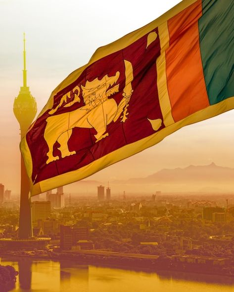 Sri Lanka Flag Wallpaper, Independence Day In Sri Lanka, Sri Lankan Flag, Sri Lanka Poster, Sri Lanka Galle, A Lion, Jersey Design, City Skyline, Sri Lanka