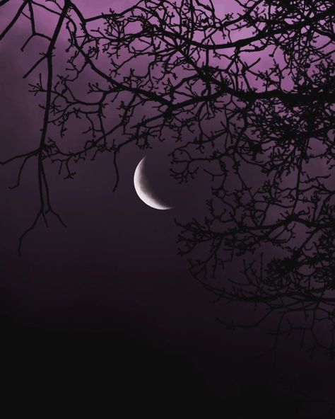 Crescent Moon Aesthetic, Waning Crescent Moon, Waning Crescent, Waning Moon, Moon Aesthetic, Autumn Lights, Moon Cycles, Moon Photography, Across The Universe